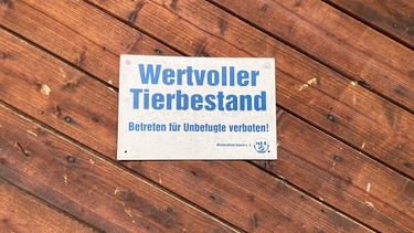 Schild "Wertvoller Tierbestand" an Stalltor | Bild: BR/Christine Schneider