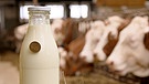 Symbolbild: Sinkende Milchpreise | Bild: BR