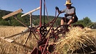 Der 60 Jahre alte Mähbinder funkioniert auch heute noch tadellos. Er mäht und bindet die Getreidegarben in einem Arbeitsgang. | Bild: BR