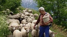 Ein Bergbauerndorf im Wallis | Bild: BR