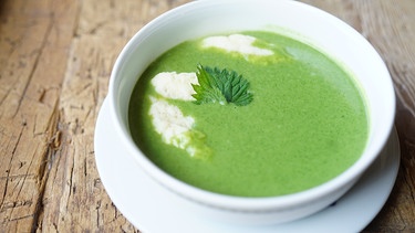 Brennesselküche Südtirol: Brennesselsuppe | Bild: BR