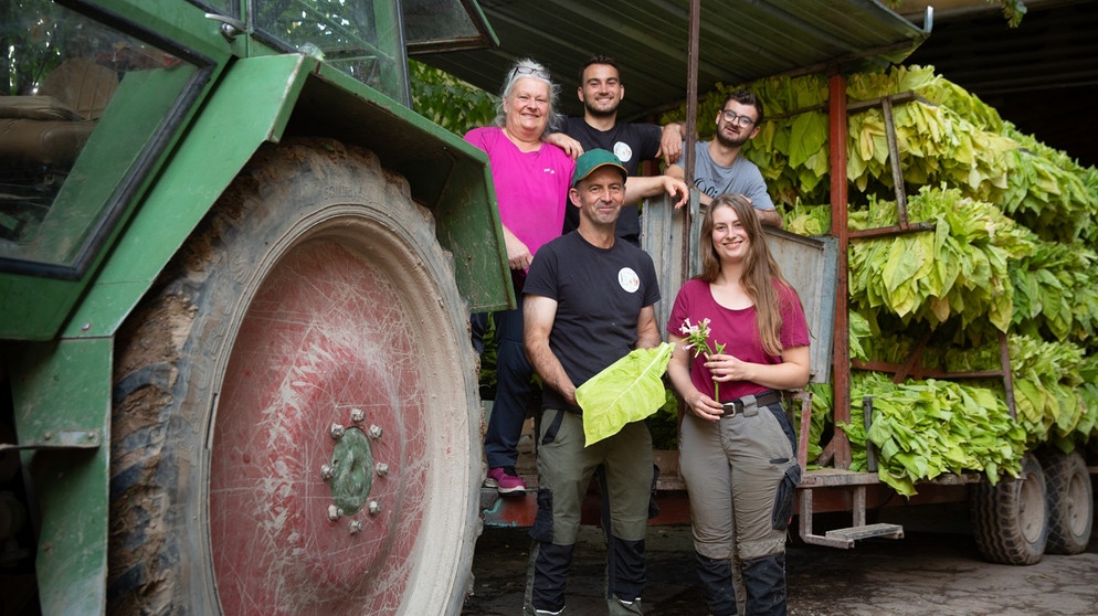 Damals bei der Ernte - und heute: Fam. Bub baut auf 75 Hektar noch andere Sonderkulturen an wie BioÄpfel und BioBirnen, Haselnüsse, Holunder und Spargel | Bild: BR/Daniel Samer