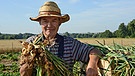 Unter unserem Himmel - Kochgeschichten: Die Zwiebel: Adalbert Eichelsdörfer freut sich über eine gute Zwiebelernte. Er produziert die regionale Sorte "birnförmige" Zwiebel und vermarktet seine Ware auf dem Bamberger Wochenmarkt. | Bild: BR