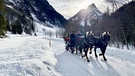 Mit dem Schlitten von Obermaiselstein bis zum Berggasthof Giebelhaus: Ohne das Glockengeläut wären die Pferde im Schnee kaum zu hören. | Bild: BR/Sandra Schlittenhardt