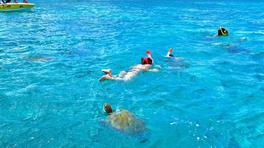Nach ihrem Fotoshooting zu zweit am Strand holen Passagiere Erna und Christian sich noch Unterstützung aus dem Wasser dazu. An Meeresschildkröten mangelt es auf Mauritius nicht. | Bild: Bewegte Zeiten Filmproduktion GmbH/BR/Tabea Hentschke