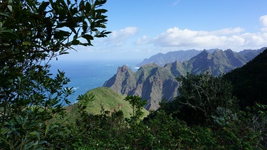 Impressionen aus Teneriffa. | Bild: BR/Bewegte Zeiten Filmproduktion GmbH/Miriam Kertsch