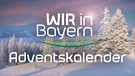 Eine Winterlandschaft mit beschneiten Tannen und Bergen im Hintergrund. Davor steht "Wir in Bayern" Adventskalender | Bild: Wir in Bayern