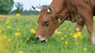 Die Gewinnerin: Regina aus Oberbayern | Bild: Thomas Plettenberg