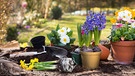 Gartenarbeiten im Frühling | Bild: BR / stock.adobe.com / Jeanette Dietl