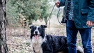 Ein Hund an der Leine. | Bild: BR/Philipp Kimmelzwinger