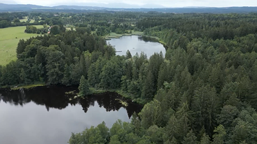 Blick von oben auf die Osterseen | Bild: BR / Jasper Brüggemann