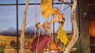 Rahmen mit Herbstlaub | Bild: BR/Nicole Wagenpfeil