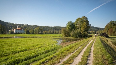 Isardamm beim Kloster Schäftlarn | Bild: BR/Nina Schlesener