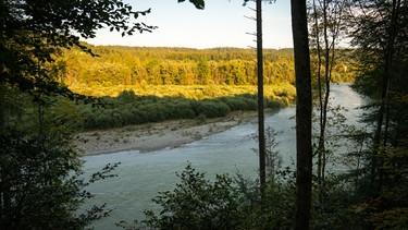 Isar | Bild: BR/Nina Schlesener