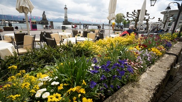 Uferpromenade mit Blumen | Bild: BR / Nina Schlesener