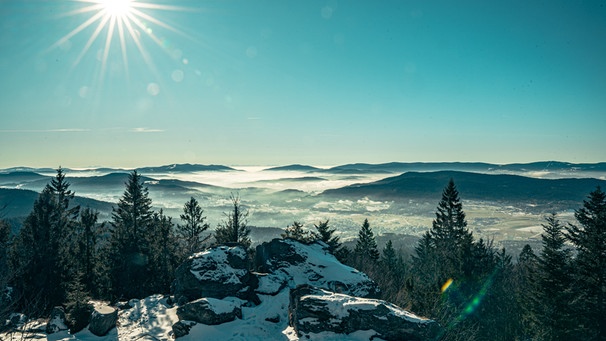 Blick vom Mühlriegel ins Tal | Bild: BR / Nina Schlesener