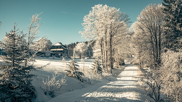 Winterlicher Weg  | Bild: BR / Nina Schlesener