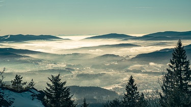 Blick vom Mühlriegel ins Tal | Bild: BR / Nina Schlesener