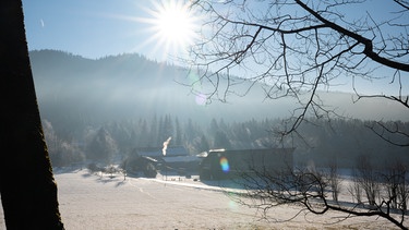 Rückweg zum Vorderödhof  | Bild: BR / Nina Schlesener