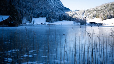 Lautersee | Bild: BR / Nina Schlesener