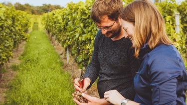 Martin und Silvia Emmerich | Bild: Weingut Emmerich