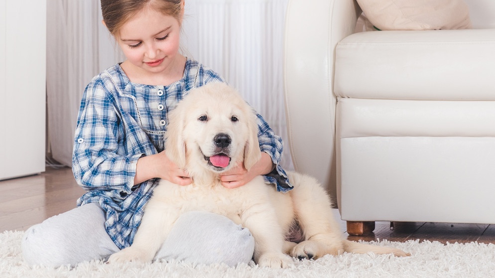 Hunde outlets welpen