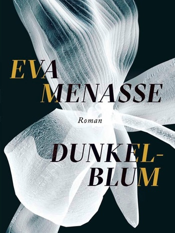 Cover "Dunkelblum" von Eva Menasse | Bild: Kiepenheuer & Witsch