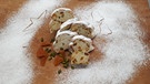 Vin Santo-Stollen mit Pistazien und Aprikose | Bild: BR/Sepp Schwalber