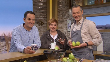 Moderator Dominik Pöll mit Monika Engelmann und Sepp Schwalber | Bild: Wir in Bayern