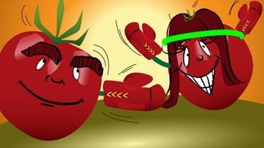 Illustration: Sabine Sauer und Michael Sporer als Tomaten im Zweikampf | Bild: BR