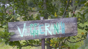 Veggie-Ranch in Winkelhaid | Bild: BR