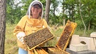 Imkerei im Klimawandel: Die "Dunkle Biene Bayern" ist eine Honigbiene, die resistenter gegen die Varoa-Milbe sein soll. Gelingt die Rückkehr der Urbiene? | Bild: BR / Elena Knerich