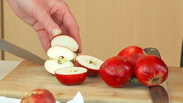 Das Projekt "Apfel, Birne, Berge" im Alpenvorland beschäftigt sich mit alten Obstsorten im oberbayerischen Alpenvorland. | Bild: BR