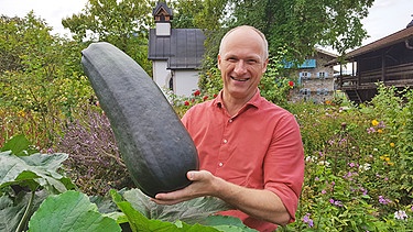 Moderator Florian Hartmann mit einer riesigen Zucchini | Bild: BR