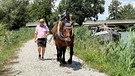 Martin Deflorin mit einem Kaltblüterpferd beim Treideln | Bild: BR / Brigitte Hausner