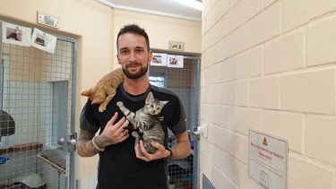 Lukas Kneisel mit zwei Katzen im Tierheim Aschaffenburg | Bild: BR / Brigitte Hausner