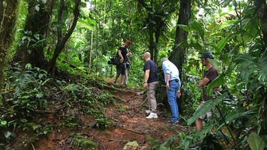 Ilha Grande in Brasilien. Reiseleiter Bernd Wallisch und Restauranttester Christian Rach wollen heute tief in die Kultur und das Leben der Ureinwohner Brasiliens eintauchen und besuchen das indigene Volk der Guaranis auf dem brasilianischen Festland. | Bild: BR/Bewegte Zeiten Filmproduktion GmbH/André Goerschel