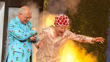 Volker Heißmann und Martin Rassau bei der Fastnacht in Franken 2025 | Bild: BR/Rolf Wilschewski