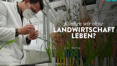 42 Landwirtschaft | Bild: arte