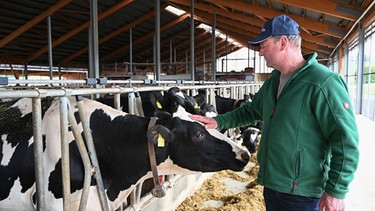  Landwirt Hartmut Ochse streichelt in seinem Kuhstall eine Kuh. Rund 200 Milchkühe hält er in seinem Stall, | Bild: picture-alliance/dpa