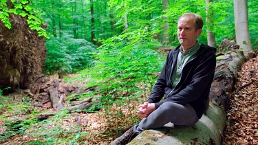 Matthias Schickhofer fürchtet um die letzten Urwälder. | Bild: BR/Langbein & Partner/ORF