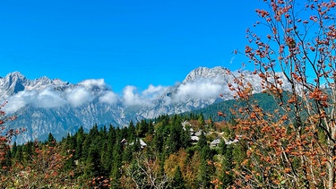 Velika Planina, die Hirtensiedlung am Südrand der Steiner Alpen. | Bild: BR/MfG-Film/NDR/Till Lehmann