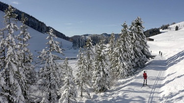 Langlaufloipe Almenland. | Bild: ORF/Mellacher/Wolfgang Scherz