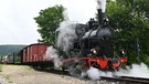 Erster August 2021: zum ersten Mal verlässt der Dampfzug die bisherige Endhaltestelle Sägmühle in Richtung Katzenstein. | Bild: SWR/Bettina Bansbach