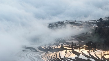 Die Reisterrassen von Yuanyang - ein Wunderland im Nebel. | Bild: BR/NDR/Donovan Chan