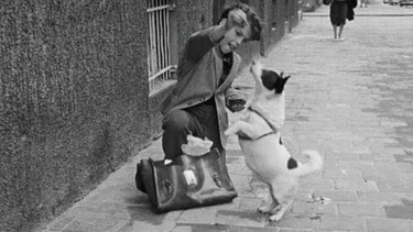 "Trödelkinder" 1957 - manchmal dauert der Schulweg etwas länger: Junge mit Hund. | Bild: BR