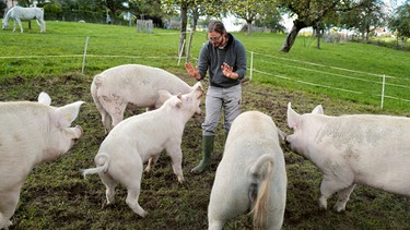 Tierschützer Timo Geuß mit Schweinen auf dem Lebenshof Hofnarr in der Schweiz. | Bild: HR/Christian Gropper