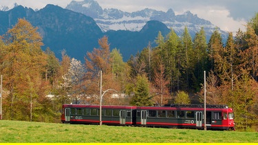 Rittnerbahn am Haltepunkt Lichtenstern. | Bild: SWR/Alexander Schweitzer