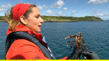 Die Gewässer rund um Schottland gehören zu den fischreichsten Europas. Die Hummer können bis zu hundert Jahre alt werden. Moderatorin Tamina Kallert mit einem Hummer, den sie wieder zurück ins Gewässer gibt. | Bild: WDR