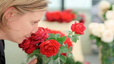 Himbeer, Litschi oder grüne Bananae: Claudia Valder analysiert den Duft der Rosen. | Bild: NDR/jumpmedienTV